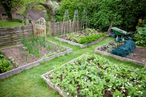 How_to_Build_a_Raised_Bed