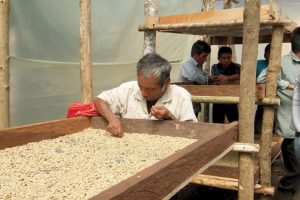 Cooperatively_Made_in_Mexico_Co-op_Food_Stores