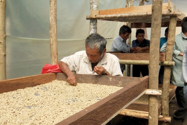 Cooperatively_Made_in_Mexico_Co-op_Food_Stores