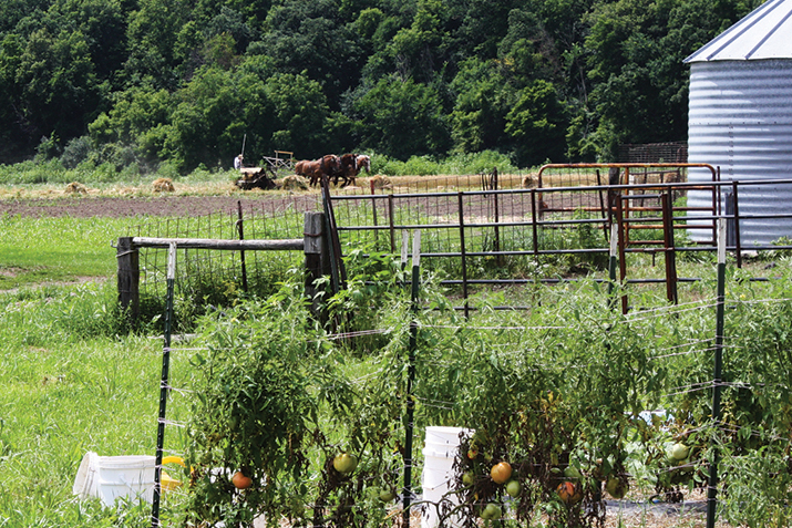 Horse-Drawn Agriculture