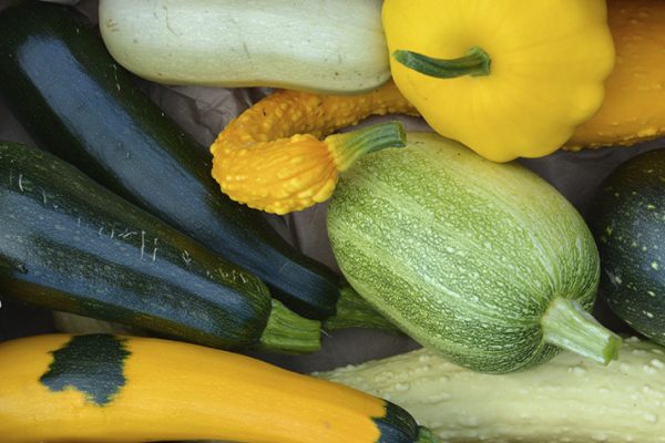 Summer_Squash