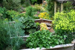 Design_your_Edible_Landscape