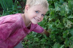 Gardening_with_Children