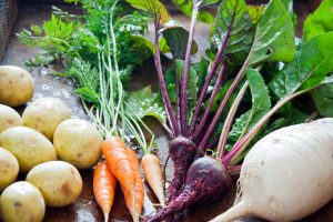 How_to_Plant_Root_Crops