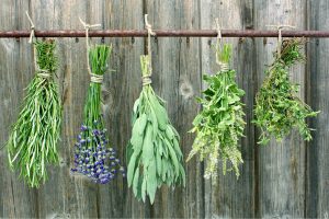 Preserving_Herbs