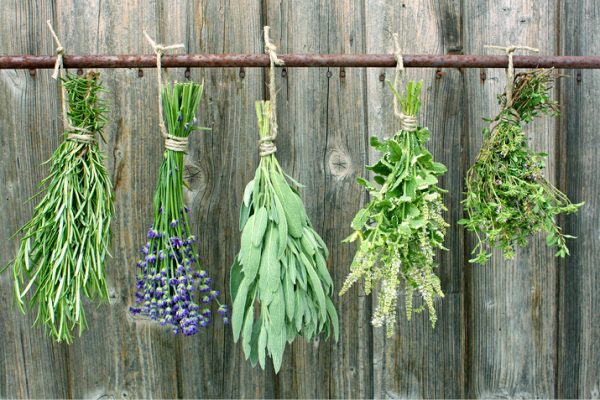 Preserving_Herbs