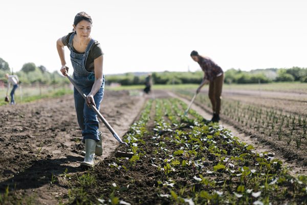Keep_Organic_True_to_its_Roots_