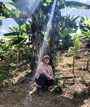 Peruvian female farmer by banana tree
