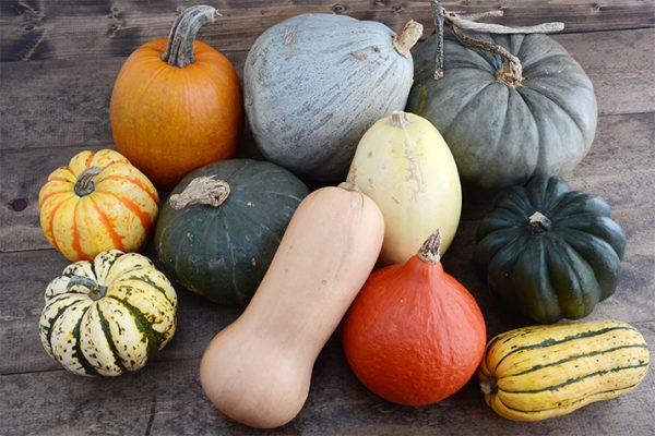 Winter_Squash_Guide