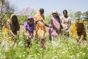 2019 Climate Awards Offer a Glimpse of the Future of Food