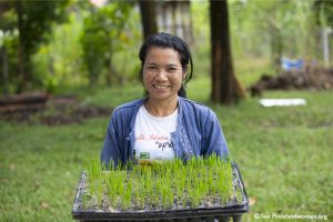Woman holding tray of rice shoots. Photo courtesy of Lotus Foods