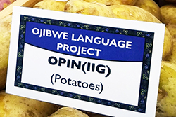 potatoes sign in Ojibwe language