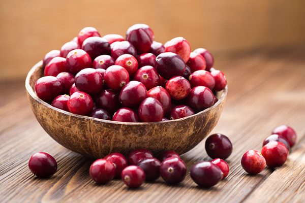Bowl of Fresh Cranberries