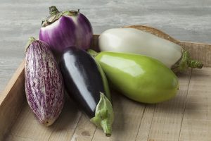 Eggplant_Come_Summer