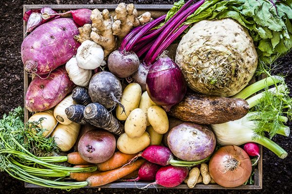 Basket of Root Vegetables