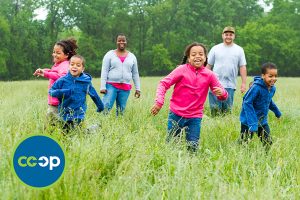 NCG_Co-op_Trade_Partner_Organic_Valley_715x477