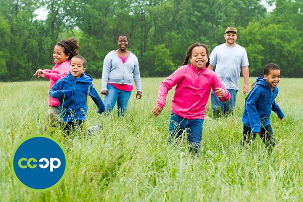 NCG_Co-op_Trade_Partner_Organic_Valley_715x477