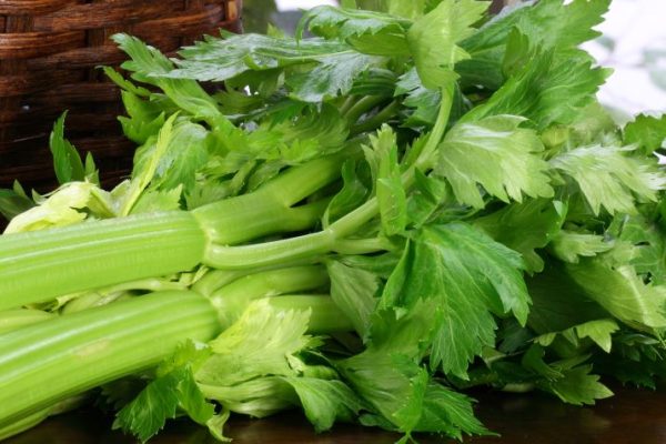 Celery_GettyImages_120720314