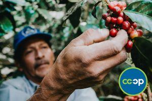 NCG_Co-op_Trade_Partner_Pachamama_Heriberto_715x477