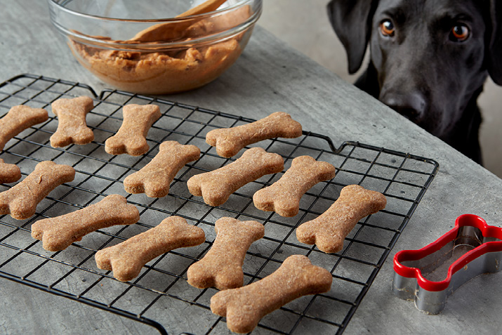 Peanut Butter Dog Treats